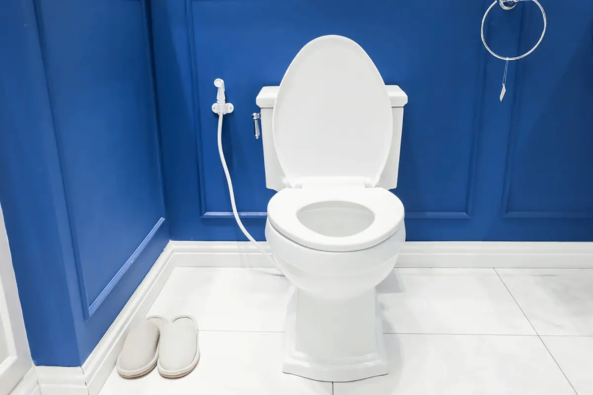 compact toilet review