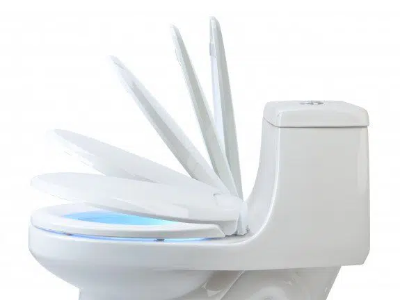 corret a toilet seat that won't stay open