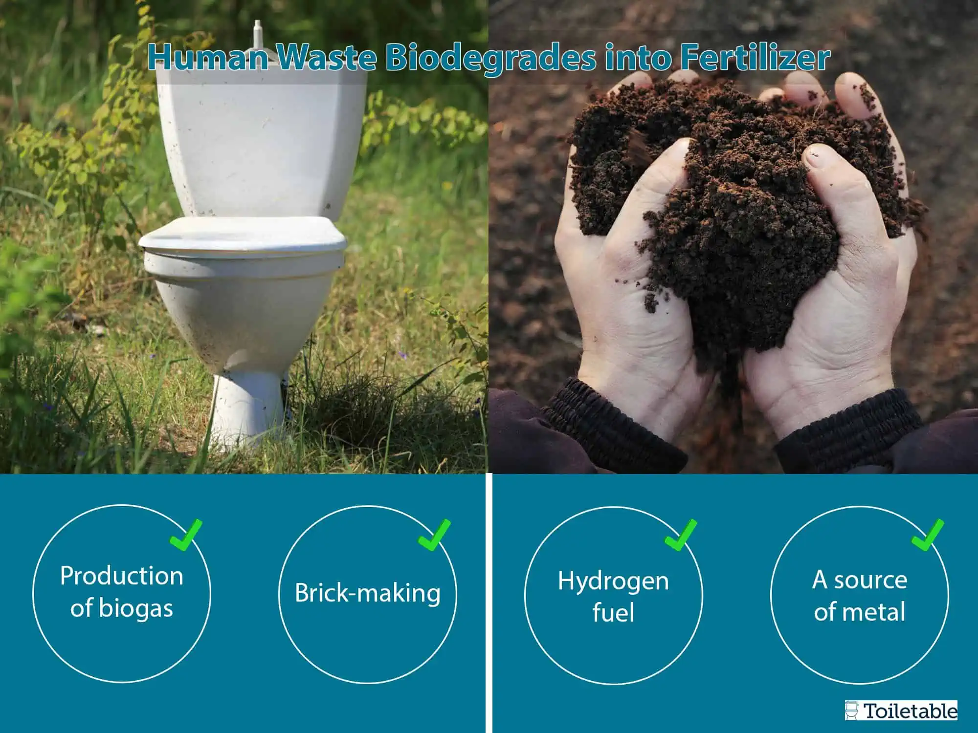 Infographic showing a toilet and compost with text "Human Waste Biodegrades into Fertilizer" and benefits like biogas and brick-making.